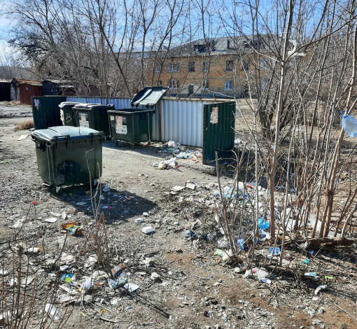 С приходом весны вот такой стыд и срам как возле контейнеров по ул. Акулова, 1 появился во многих дворах города. Жители не понимают что с этим делать и как жить в такой грязи.  
